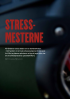 STRESSMESTERNE