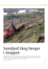 Sunnfjord Skog henger i stroppen
