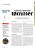 Tabloid trøndersk tømmer