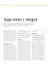 Topp vinter i skogen
