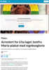 Arrestert for å ha laget Jomfru Maria-plakat med regnbueglorie