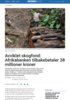 Avviklet skogfond: Afrikabanken tilbakebetaler 38 millioner kroner
