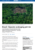 Brasil: Høyeste avskoging på ti år