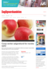 Coop venter salgsrekord for norske epler