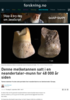 Denne melketannen satt i en neandertaler-munn for 48 000 år siden