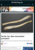 Derfor har ikke mennesker penisbein