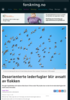 Desorienterte lederfugler blir avsatt av flokken
