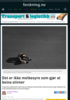 Det er ikke melkesyre som gjør at beina stivner