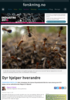 Dyr hjelper hverandre