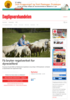 Få bryter regelverket for dyrevelferd