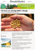 Få funn av ulovlig GMO i Norge