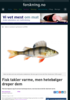 Fisk takler varme, men hetebølger dreper dem