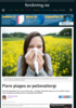 Flere plages av pollenallergi