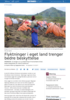 Flyktninger i eget land trenger bedre beskyttelse