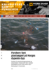 Forskere fant plastsøppel på Norges dypeste dyp
