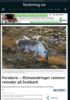 Forskere: - Klimaendringer rammer reinsdyr på Svalbard