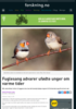 Fuglesang advarer ufødte unger om varme tider