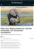 Gåten løst: Blågrønnbakterier stod bak elefantdød, sier botswanske myndigheter