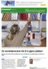 Gi norsklærarane tid til å gjere jobben