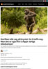 Gorillaer slår seg på brystet for å tøffe seg. Men det er også for å slippe farlige slåsskamper