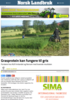 Grasprotein kan fungere til gris