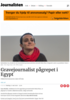 Gravejournalist pågrepet i Egypt