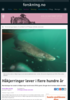 Håkjerringer lever i flere hundre år