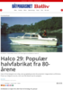 Halco 29: Populær halvfabrikat fra 80-årene