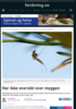 Har ikke oversikt over myggen