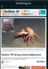 Hedrer 90-åring med krabbenavn