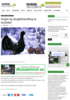 Hogst og skogbehandling av tiurleiker