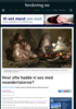 Hvor ofte hadde vi sex med neandertalerne?