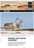 Hyttebyer eller levende villreinfjell?