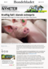 Kraftig fall i dansk svinepris