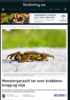 Monsterparasitt tar over krabbens kropp og vilje