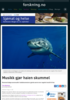 Musikk gjør haien skummel