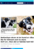 Nettavisen skrev at én hund er «like ille for klimaet som to store SUV-er». Men det er faktisk helt feil