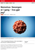 Nyheter Norovirus: Sesongen er i gang - hva gjør jeg?