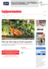Piler gir økt salg av frukt og grønt