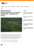 Regnskogstatus: Lovende i Indonesia, nedslående i Brasil