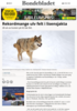 Rekordmange ulv felt i lisensjakta