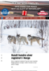 Rundt hundre ulver registrert i Norge