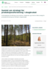 Samlet om strategi for produksjonsforskning i skogbruket