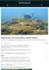 Sjøgress tar livet av korallrev utenfor Hawaii