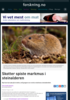 Skotter spiste markmus i steinalderen