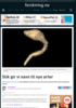 Slik gir vi navn til nye arter