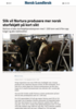 Slik vil Nortura produsere mer norsk storfekjøtt på kort sikt