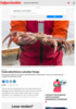 Snøkrabbefiskere saksøker Norge