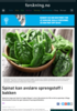 Spinat kan avsløre sprengstoff i bakken