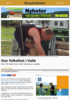 Stor folkefest i Valle